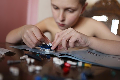 LEGO Fan Mitchell Jones Immersed in Building a New LEGO Set