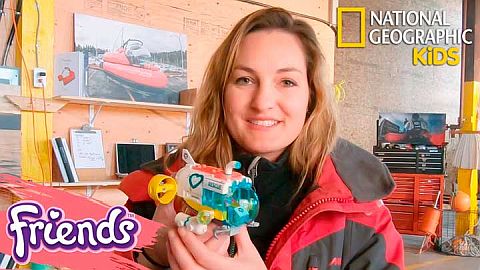 LEGO Friends Sea Life Rescue Sets & More!