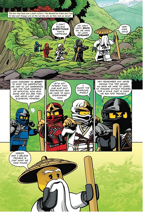 LEGO Ninjago Warriors of Stone Details 1