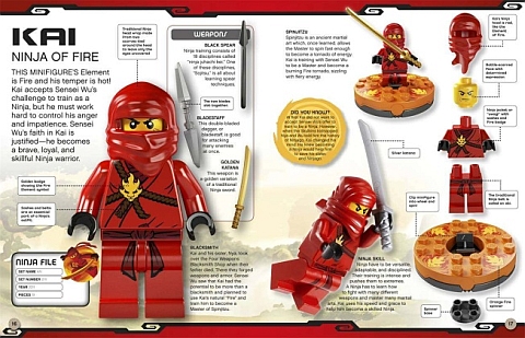 Ninjago LEGO Book Details