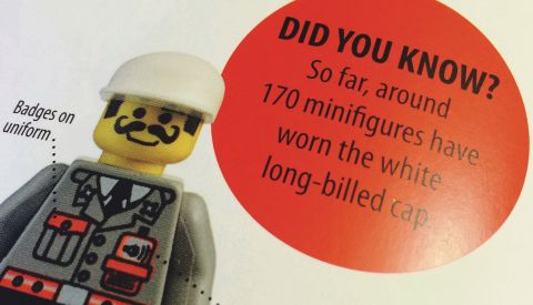 LEGO Book LEGO Minifigure Year by Year Details