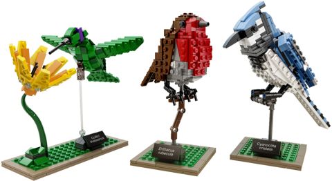 #21301 LEGO Ideas Birds
