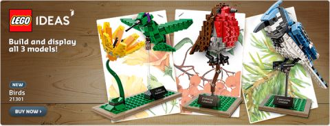 Shop LEGO Ideas Birds