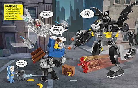 LEGO Super Heroes Character Encyclopedia 4