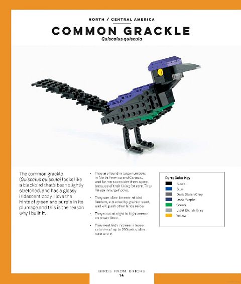LEGO Ideas Birds from Bricks 5