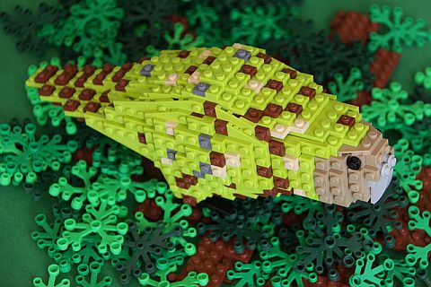 LEGO Ideas Birds from Bricks 7