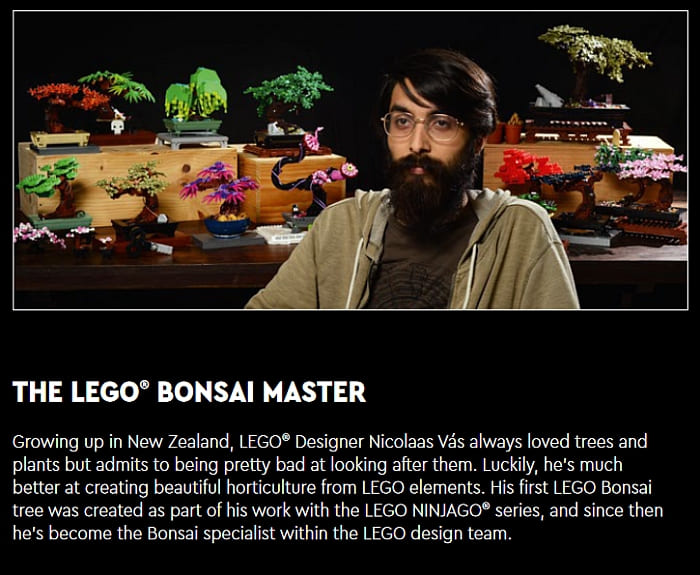 LEGO 10281 Bonsai Tree review