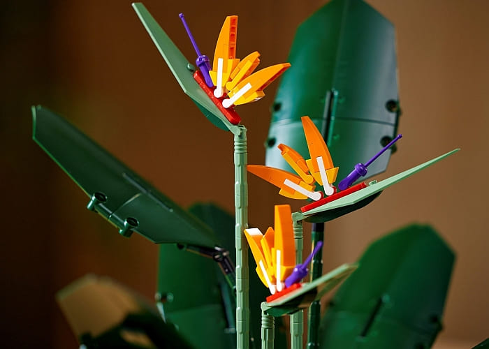 Bird of Paradise (LEGO 18+ Botanical Collection - 10289) - Review -  Brickonaute