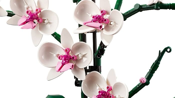 LEGO Orchid to LEGO Demagorchid